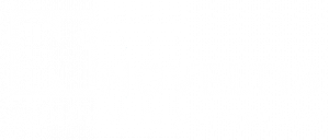 Logo NOVELTIS